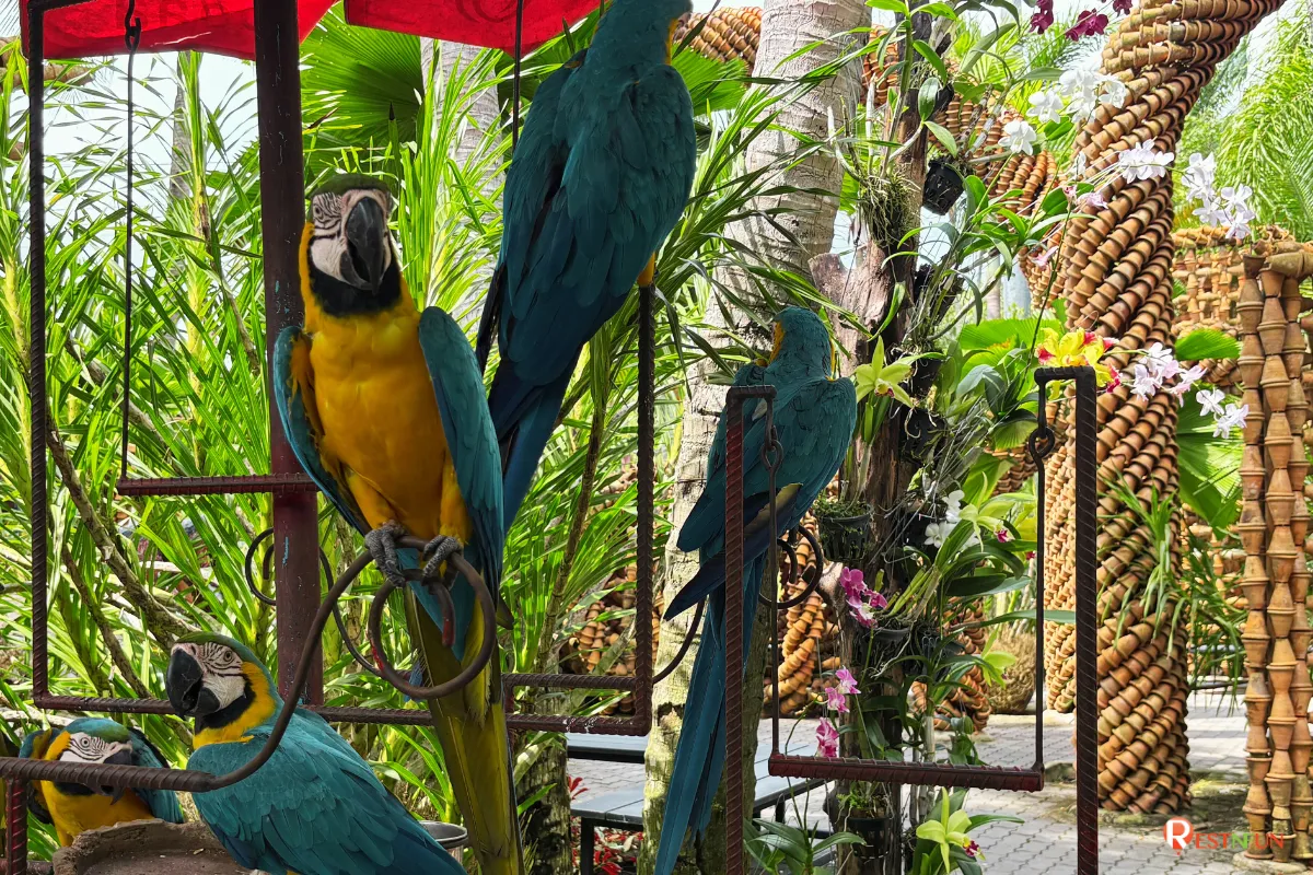 Nong Nooch Tropical Garden also has very cute animals
